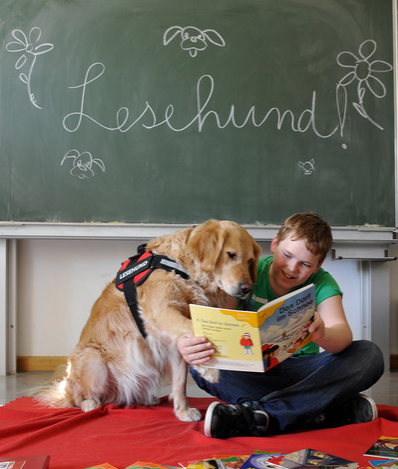 Lesendes Kind mit Hund